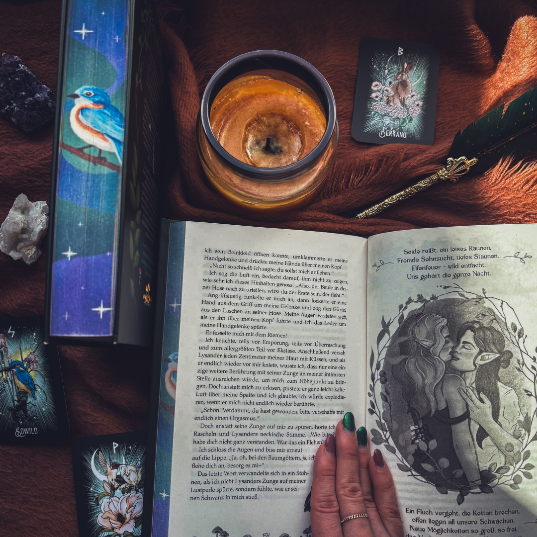 Desires of a Fairy Prince - Schmuckausgabe 🧝‍♂️
